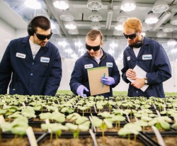 Agricultural tech startup Indigo uses microbes to improve crops