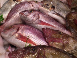 Increased fish production nationwide